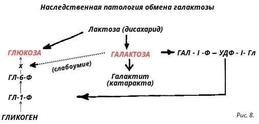Аутосомно-рецессивный: Оба родителя должны нести копию мутировавшего гена, чтобы заболевание проявилось у ребенка. По этой схеме наследуются такие заболевания, как муковисцидоз или серповидно-клеточная анемия.