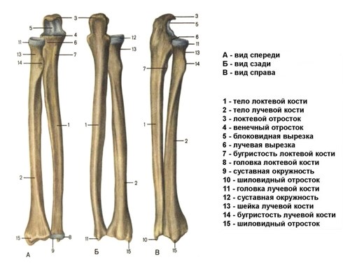 При какой травме не дадут больничный