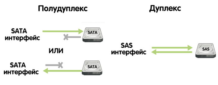 Пропускная способность и скорость передачи данных