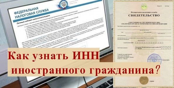 Проверка через сайт государственных услуг