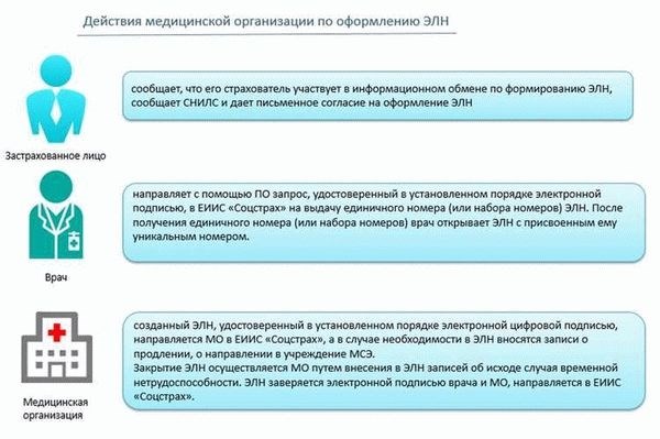 Шаги по оформлению больничного листа в детском саду