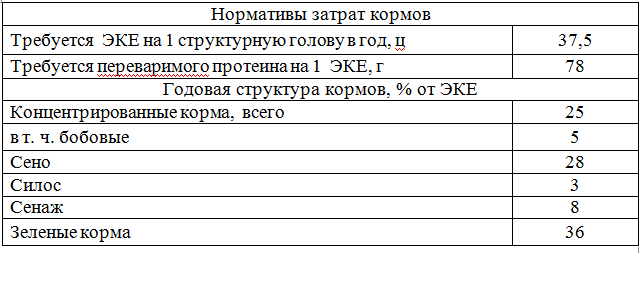 Сколько еще людей должно погибнуть?