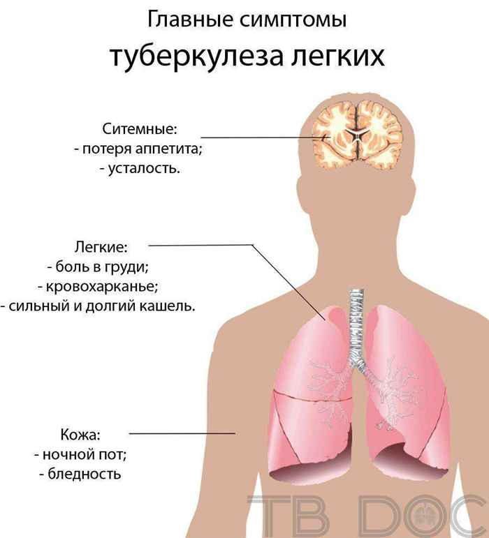 Так ли страшен большой