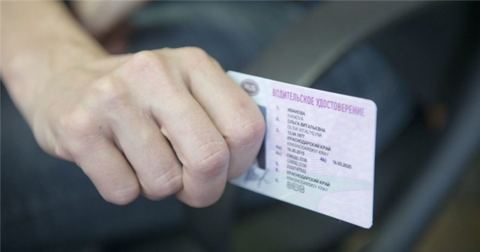 Что представляет собой водительская справка