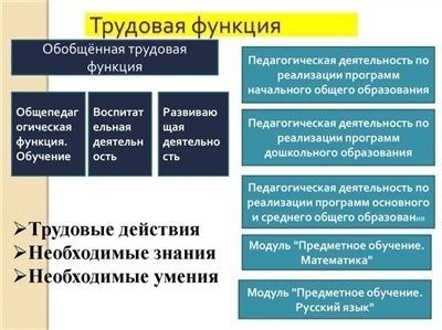 Роль должностной инструкции в работе сотрудников