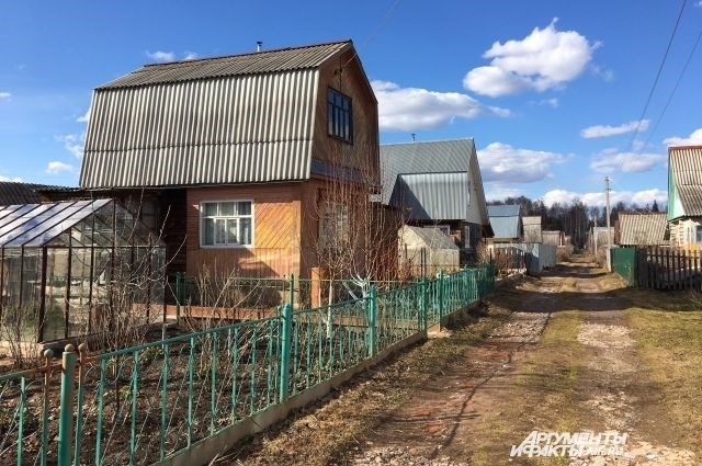 Что нужно для торговли овощами и фруктами?