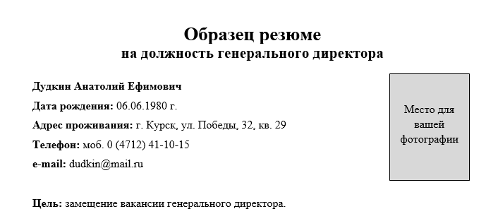 Достижения директора в резюме