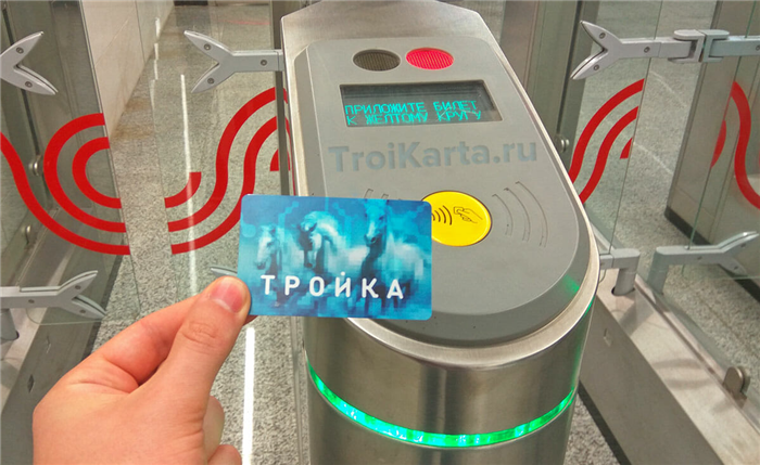 Провоз животных, велосипедов и габаритного багажа