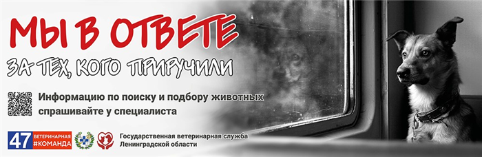 Документы, необходимые для подачи заявления