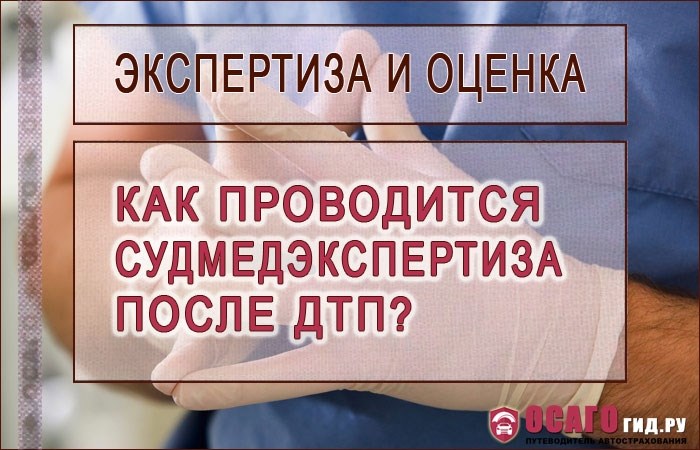 Исследование при дорожной аварии с летальным исходом