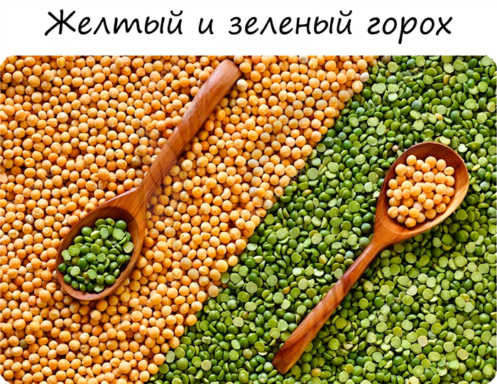 Условия выполнения законов Менделя
