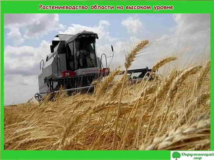 Состав и свойства песка