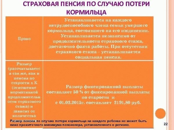 Условия получения пособия по потере кормильца в 2026 году