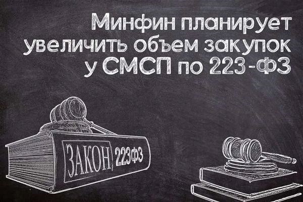 Обзор изменений в 223-ФЗ в 2026 году