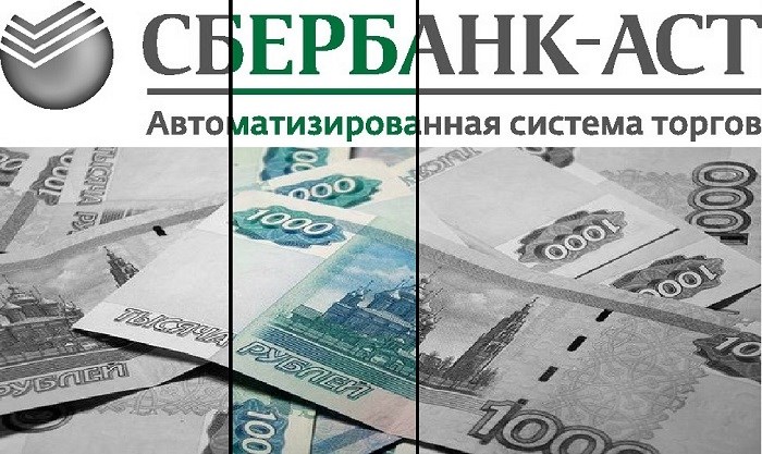 Как зарегистрироваться на площадке Сбербанк АСТ: необходимые документы
