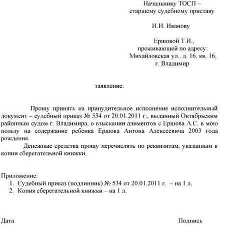 Указание плана погашения задолженности и предложение по рассрочке