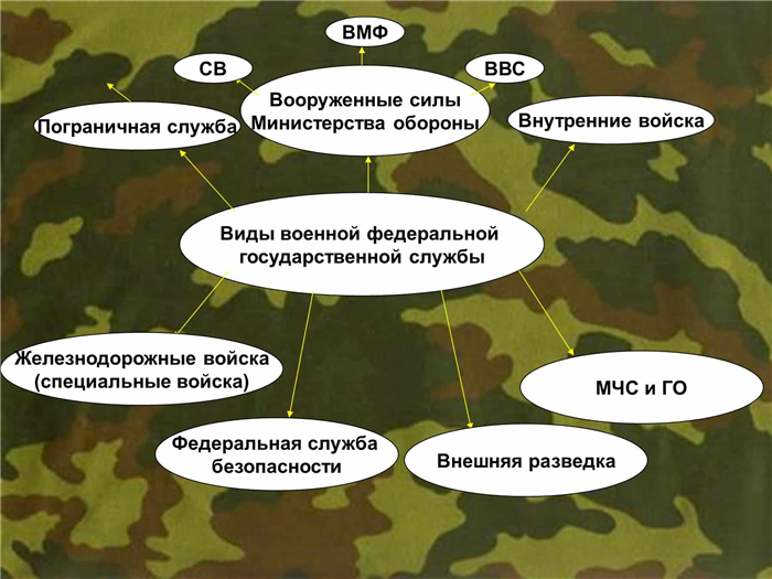 Из чего состоит Военно-морской флот России