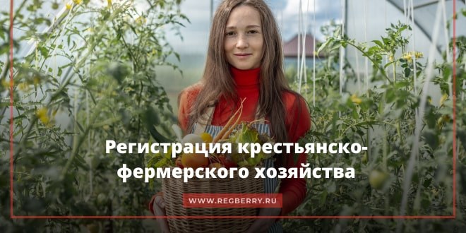 Что такое КФХ?