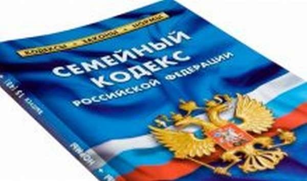 Возможен ли отказ от алиментов во время исполнительного производства?