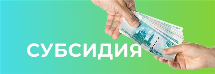 Что за субсидия?
