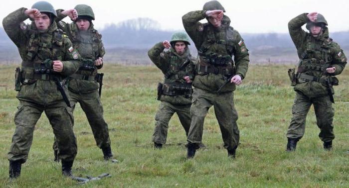 Советы и рекомендации по ситуации, когда двое несовершеннолетних детей заберут в армию