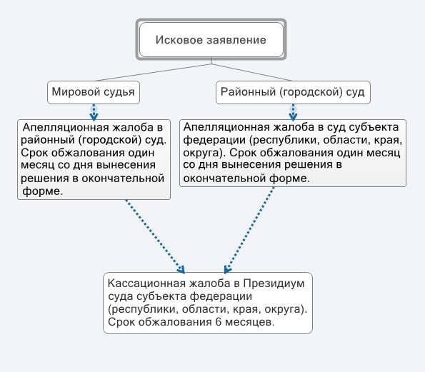 Что такое дополнительная апелляция?