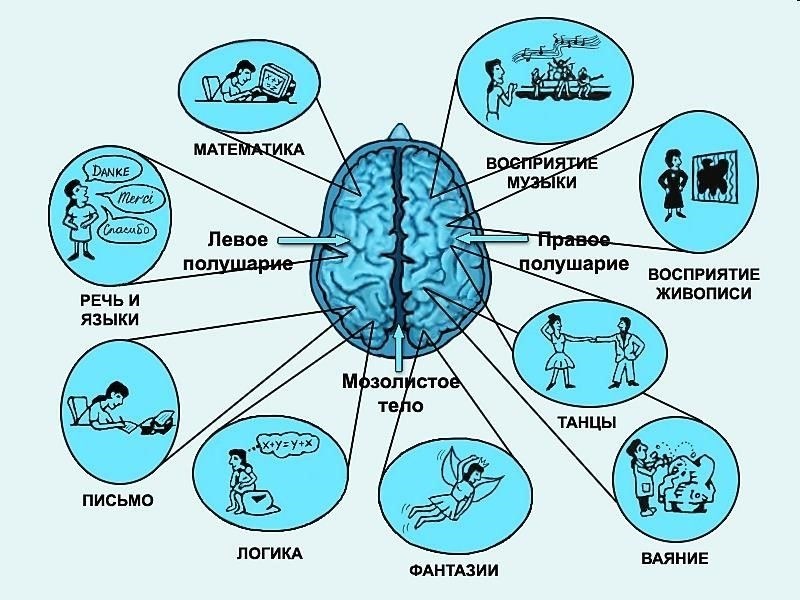 Эффективная связь и координация