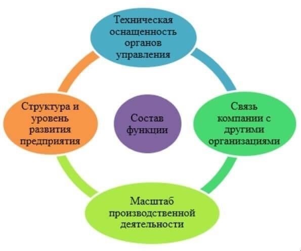 Функции и организация