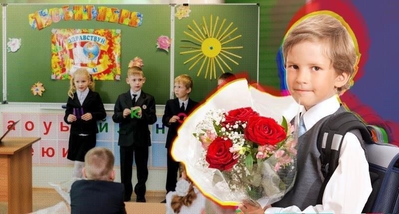 Обзор учебных программ