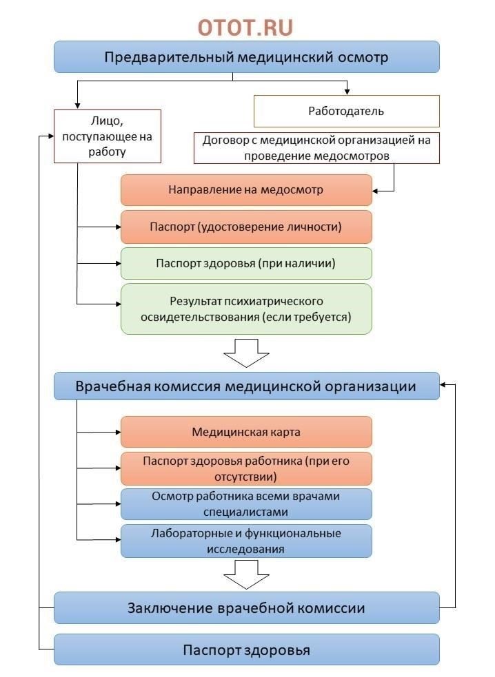 Предварительные медицинские осмотры сотрудников, поступающих на службу в органы безопасности в соответствии с федеральными правилами, необходимы для обеспечения их соответствия необходимым физическим и психическим нормам. Эти проверки, проводимые уполномоченными медицинскими учреждениями, включают широкий спектр процедур, направленных на оценку пригодности человека к службе на ответственных должностях. Персонал, претендующий на эти должности, проходит обязательное обследование перед поступлением на службу, причем некоторые обследования определены законом.