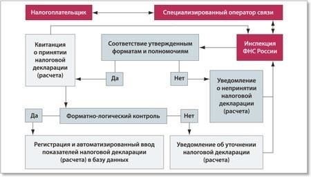 Процедуры учета и отчетности для налоговых органов