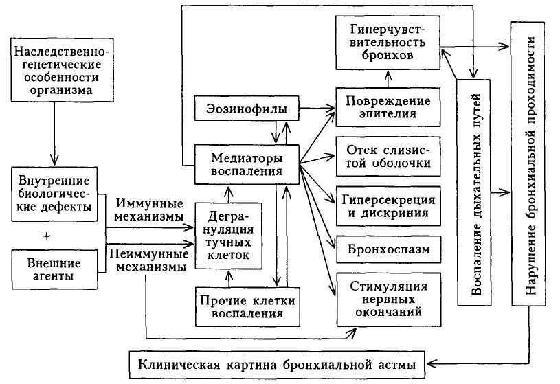В некоторых случаях атопическая форма астмы, которая может вызывать реакцию на аллергены, может стать причиной для увольнения с военной службы, если симптомы сохраняются или ухудшаются. Если ваше заболевание вызывает значительные физические ограничения, вам может быть предоставлено временное или постоянное освобождение от службы.